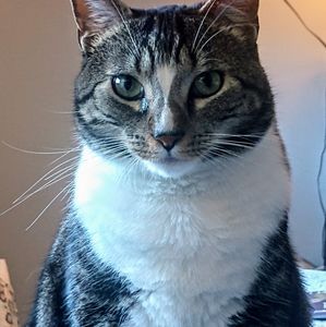 Meet your Posher, Sandra